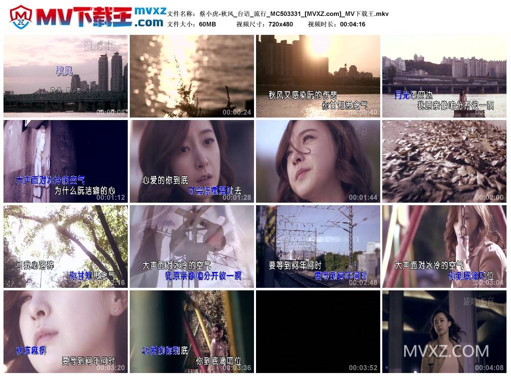 蔡小虎-秋风_台语_流行_MC503331